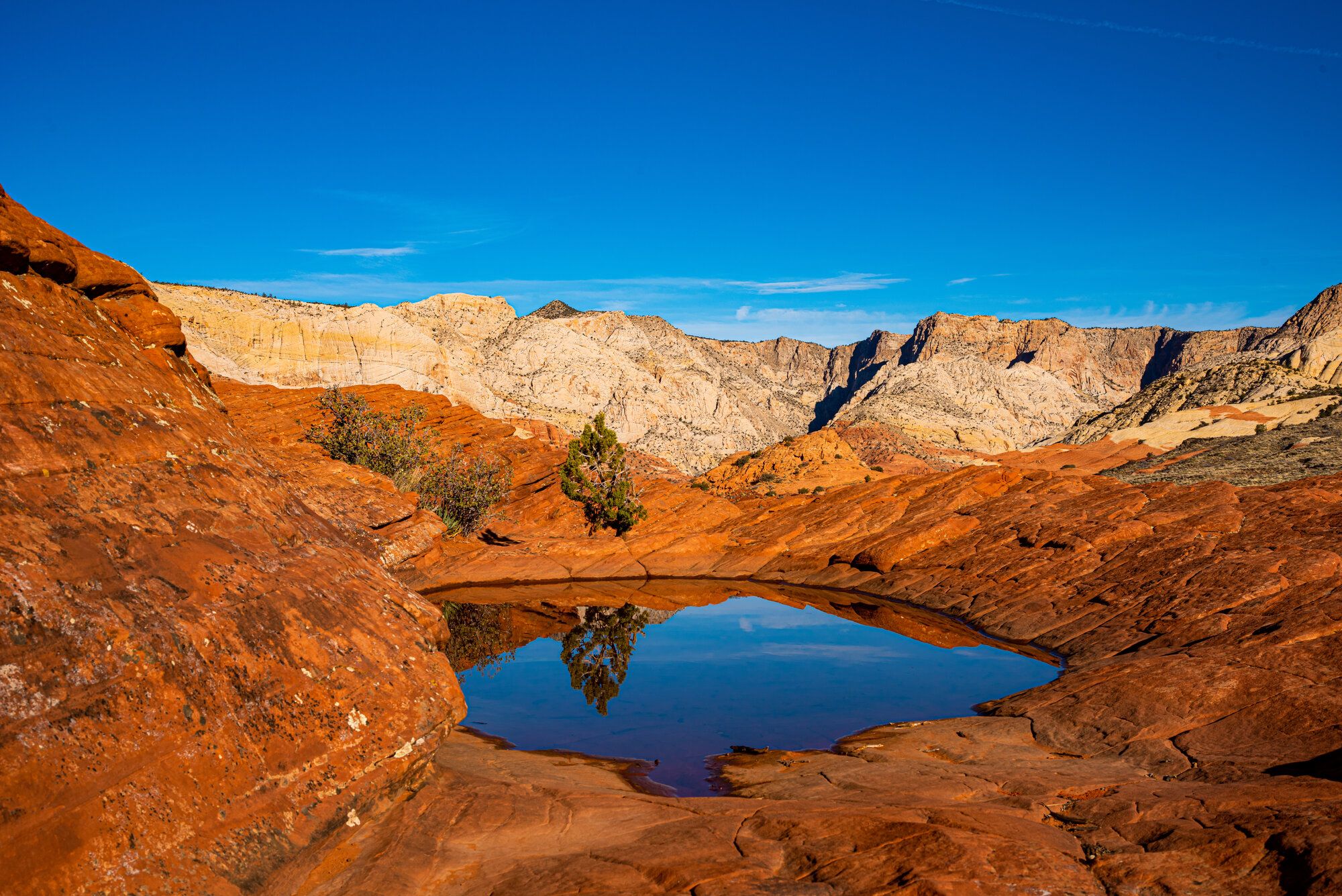 A reflecting pool in Snow Canyon State Park, just north of Santa Clara