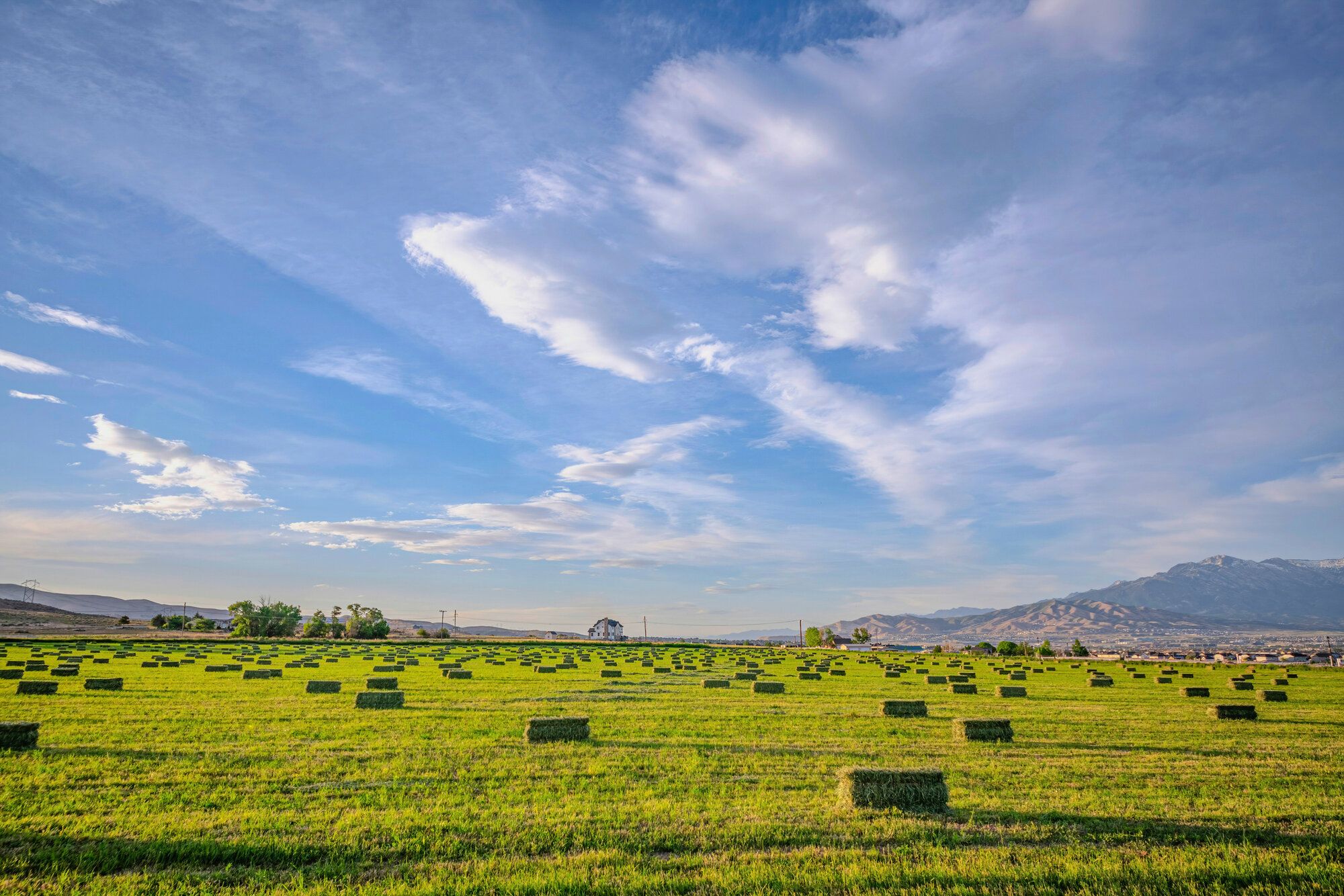 Hay bales on green farmland below the mountains in a Utah valley.