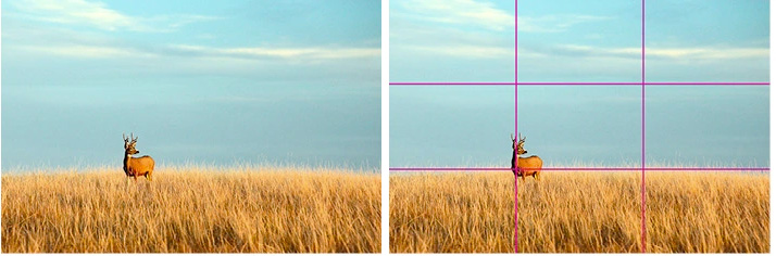 Rule-Of-Thirds-Example